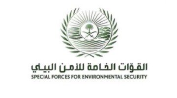 Environmental security jobs