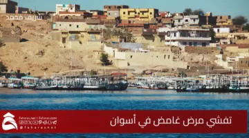 Aswan mysterious illness