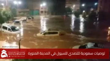 Facing Floods in Medina