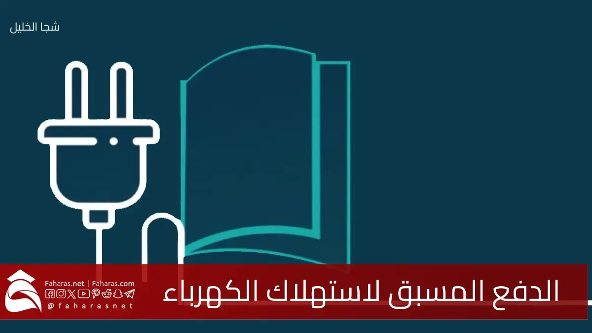 مشروع الدفع المسبق لاستهلاك الكهرباء.. ضوابط جديدة لعملية قطع ووصل الخدمة الكهربائية