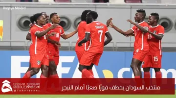 Sudan national snatches difficult victory Niger