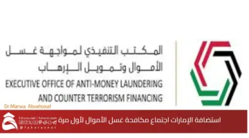 UAE anti money laundering