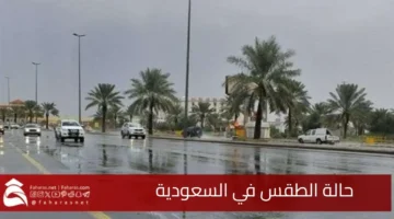 Weather alerts Saudi Arabia