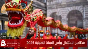 Celebrating Chinese New Year 2025