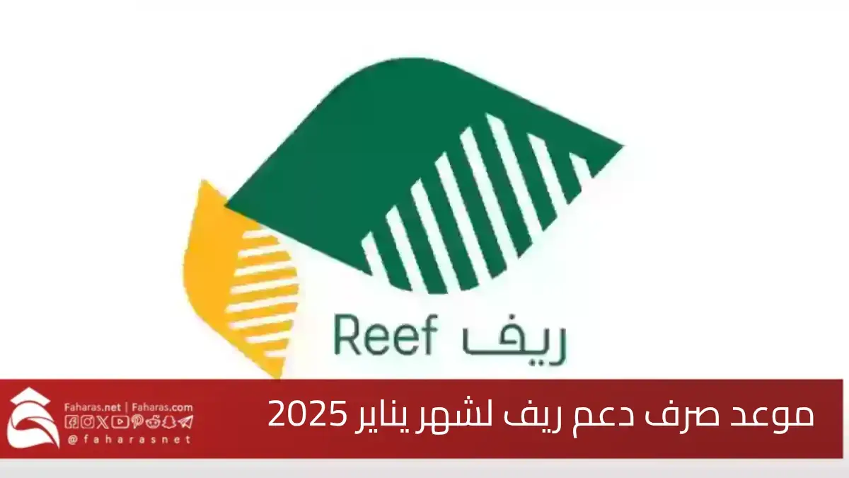 موعد صرف دعم ريف لشهر يناير 2025.. وخطوات الاستعلام عن الدعم عبر المنصة الإلكترونية