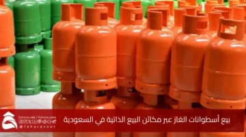 Selling domestic gas cylinders