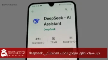 deepseek model