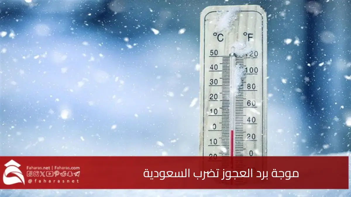 موجة برد العجوز تضرب السعودية، تبدأ في شمالي المملكة يوم الجمعة وتستمر لعدة أيام 5 موجة برد العجوز تضرب السعودية، تبدأ في شمالي المملكة يوم الجمعة وتستمر لعدة أيام