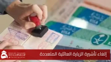 Cancel multiple family visit visa