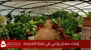 Establishing agricultural nursery Makkah
