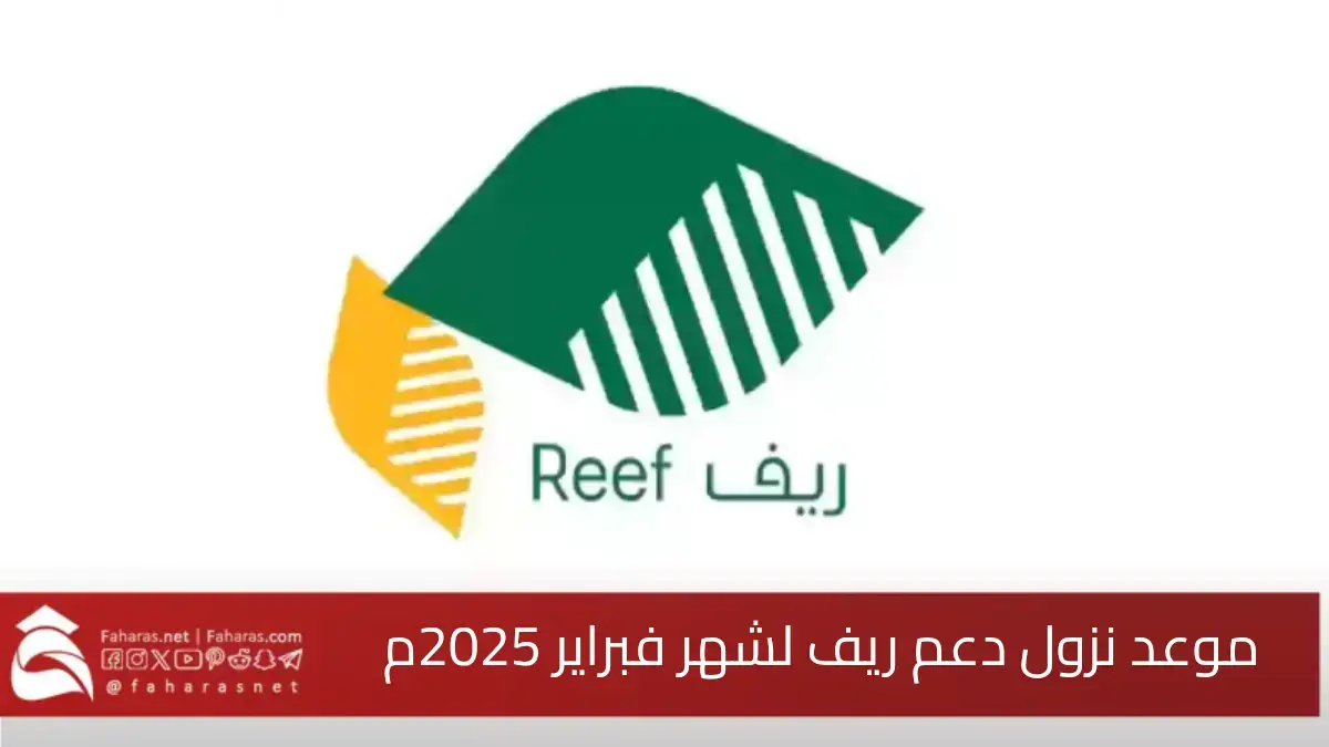 موعد صرف دعم ريف لشهر فبراير 2025.. خطوات الاستعلام عن الدعم إلكترونيًا 5 موعد صرف دعم ريف لشهر فبراير 2025.. خطوات الاستعلام عن الدعم إلكترونيًا
