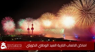 Kuwait National Day fireworks