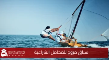 sailing dinghy race