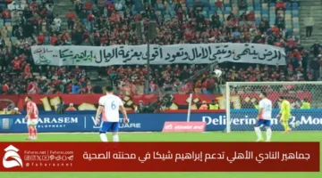 Al Ahly fans