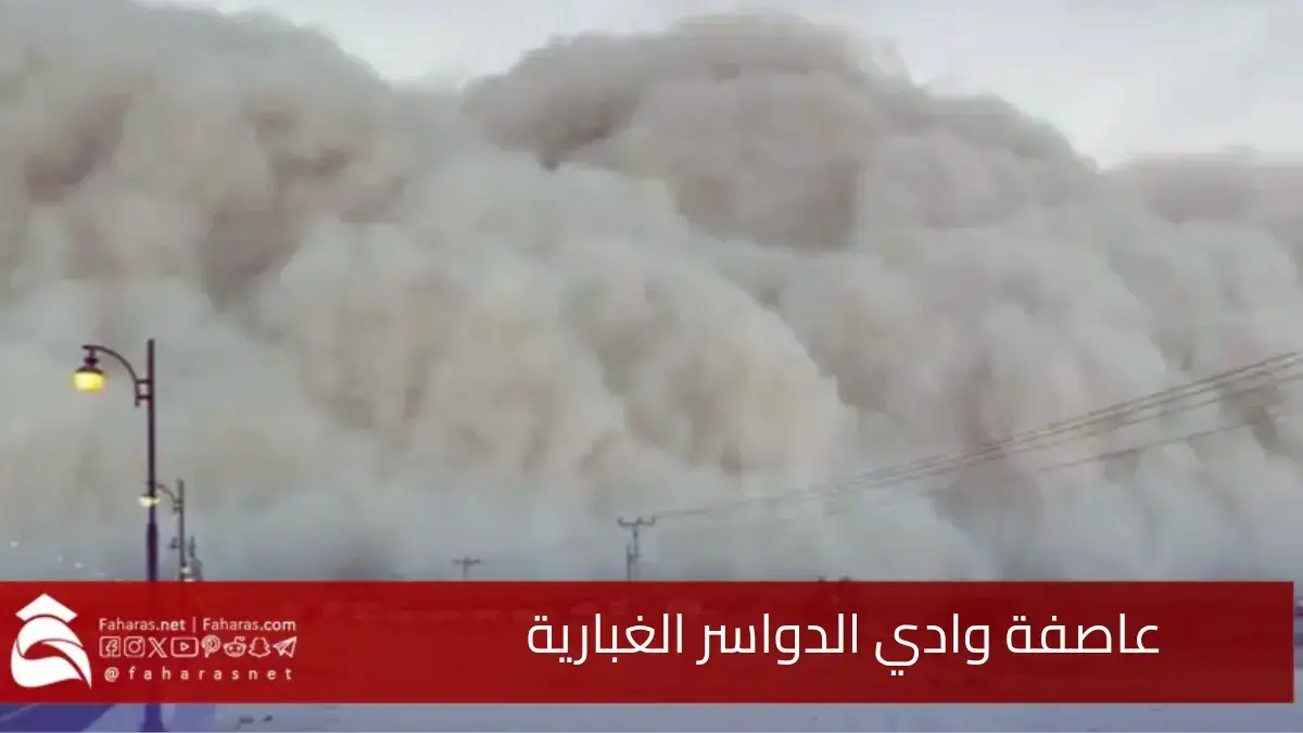 فيديو عاصفة وادي الدواسر الغبارية 2025.. مشهد مهيب يعكس قوة الطبيعة وتأثيرها 5 فيديو عاصفة وادي الدواسر الغبارية 2025.. مشهد مهيب يعكس قوة الطبيعة وتأثيرها