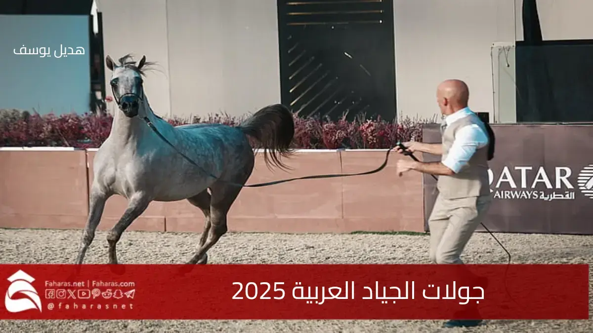 جولات الجياد العربية 2025.. تأهل 12 جواداً في "جولة الرياض" للنهائي في المحطة الرابعة 5 جولات الجياد العربية 2025.. تأهل 12 جواداً في “جولة الرياض” للنهائي في المحطة الرابعة