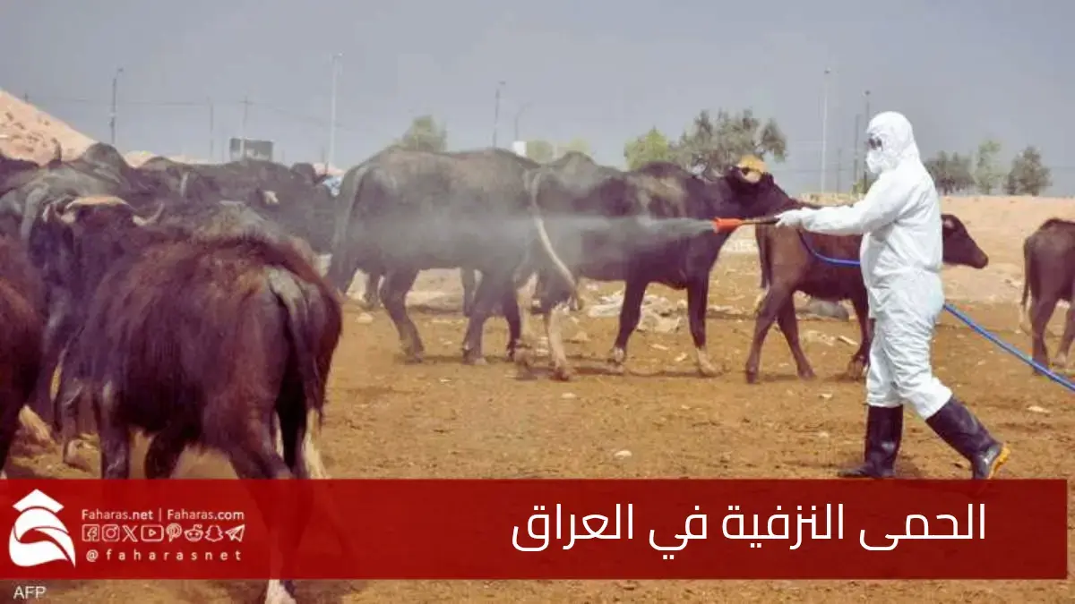 ما هي الحمى النزفية في العراق.. وما أعراضها وكيف أصبحت تهديدًا متزايدًا 5 ما هي الحمى النزفية في العراق.. وما أعراضها وكيف أصبحت تهديدًا متزايدًا