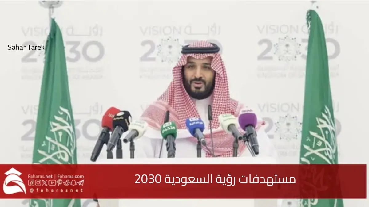 مستهدفات رؤية السعودية 2030 في الاستثمار والمساهمات