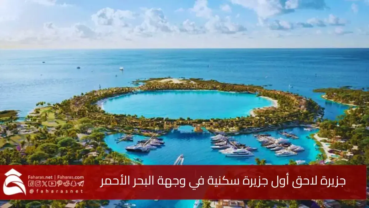 جزيرة لاحق أول جزيرة سكنية ضمن وجهة البحر الأحمر.. مع خطط للافتتاح في عام 2028 5 جزيرة لاحق أول جزيرة سكنية ضمن وجهة البحر الأحمر.. مع خطط للافتتاح في عام 2028