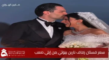 Narin Beauty wedding dress price