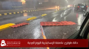 Alexandria storm today
