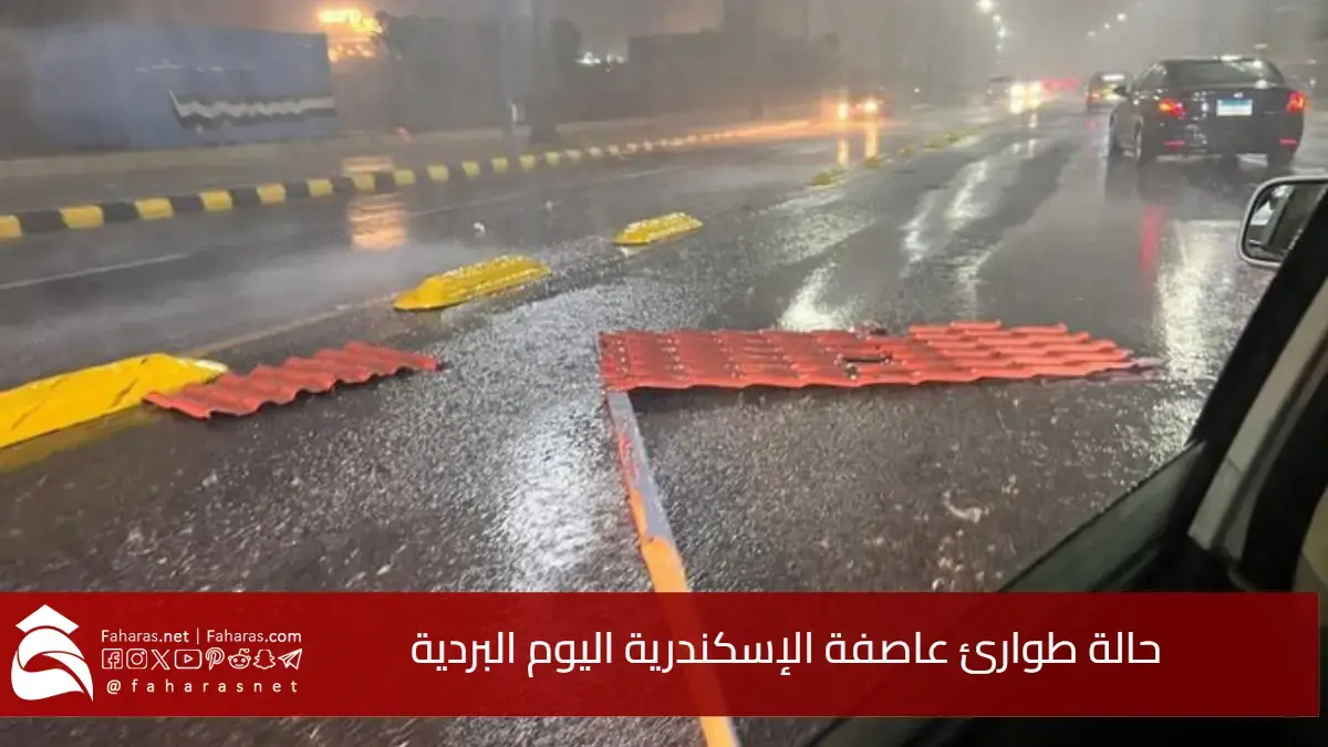 حالة طوارئ الآن.. شاهد تفاصيل عاصفة الإسكندرية اليوم.. أمطار رعدية وثلوج تُغرق الشوارع وتُربك الحركة 5 حالة طوارئ الآن.. شاهد تفاصيل عاصفة الإسكندرية اليوم.. أمطار رعدية وثلوج تُغرق الشوارع وتُربك الحركة