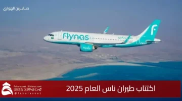 Flynas IPO