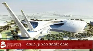 Hamad Khalifa University Scholarship