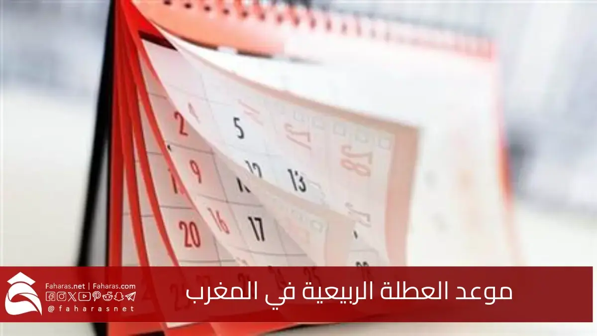 متى موعد العطلة الربيعية في المغرب.. تحقيق التوازن بين الدراسة والراحة للطلاب والاستفادة منها 5 متى موعد العطلة الربيعية في المغرب.. تحقيق التوازن بين الدراسة والراحة للطلاب والاستفادة منها