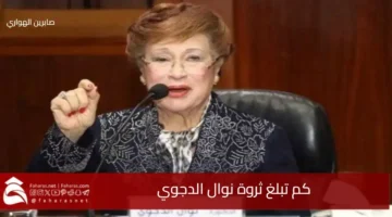 How much Nawal ElDegwi wealth