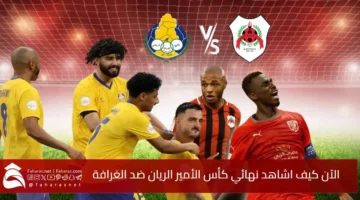 Rayyan vs Gharafa Amir Cup