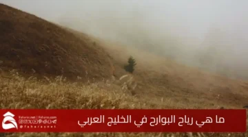 winds Bawareh
