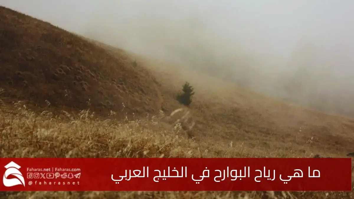 ما هي رياح البوارح.. الاستعداد لموسم البوارح أحد أبرز معالم صيف الخليج العربي 5 ما هي رياح البوارح.. الاستعداد لموسم البوارح أحد أبرز معالم صيف الخليج العربي