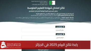 Algeria BEM results link