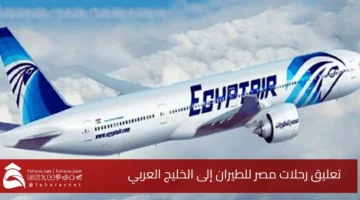 EgyptAir flights suspended