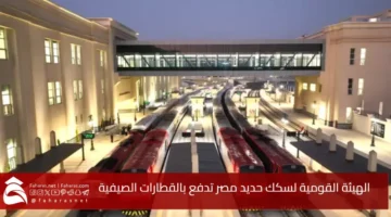 Egyptian National Railways Authority