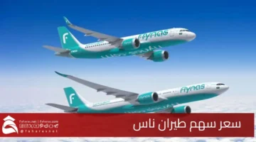 Flynas share price