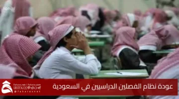 Nizam alfasleen saudi