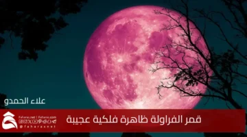 Strawberry Moon