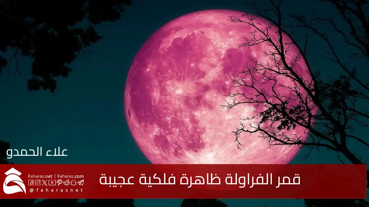 قمر الفراولة.. ظاهرة فلكية عجيبة تزين السماء هذا الصيف والعالم يترقب هذا المشهد الساحر 5 قمر الفراولة.. ظاهرة فلكية عجيبة تزين السماء هذا الصيف والعالم يترقب هذا المشهد الساحر
