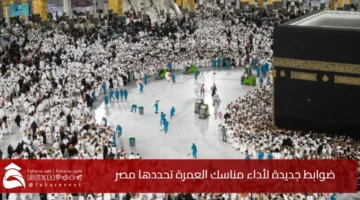 decisions performing Umrah rituals