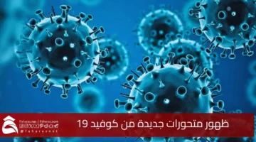 emergence Corona virus