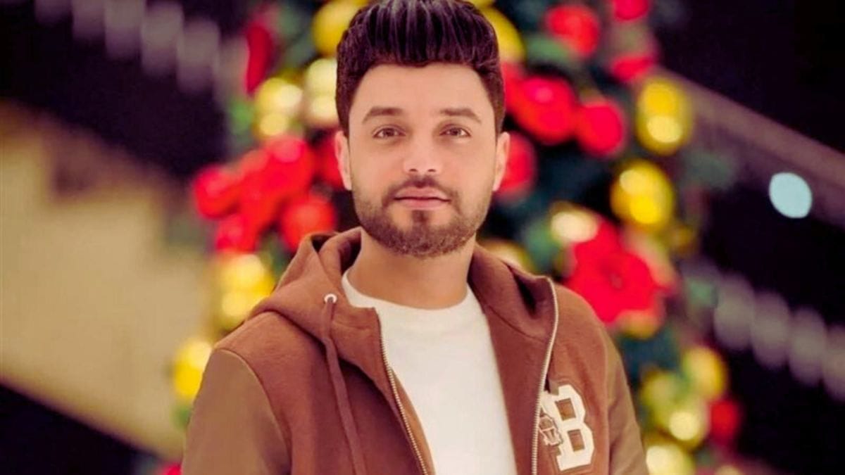الفنان أحمد عامر 