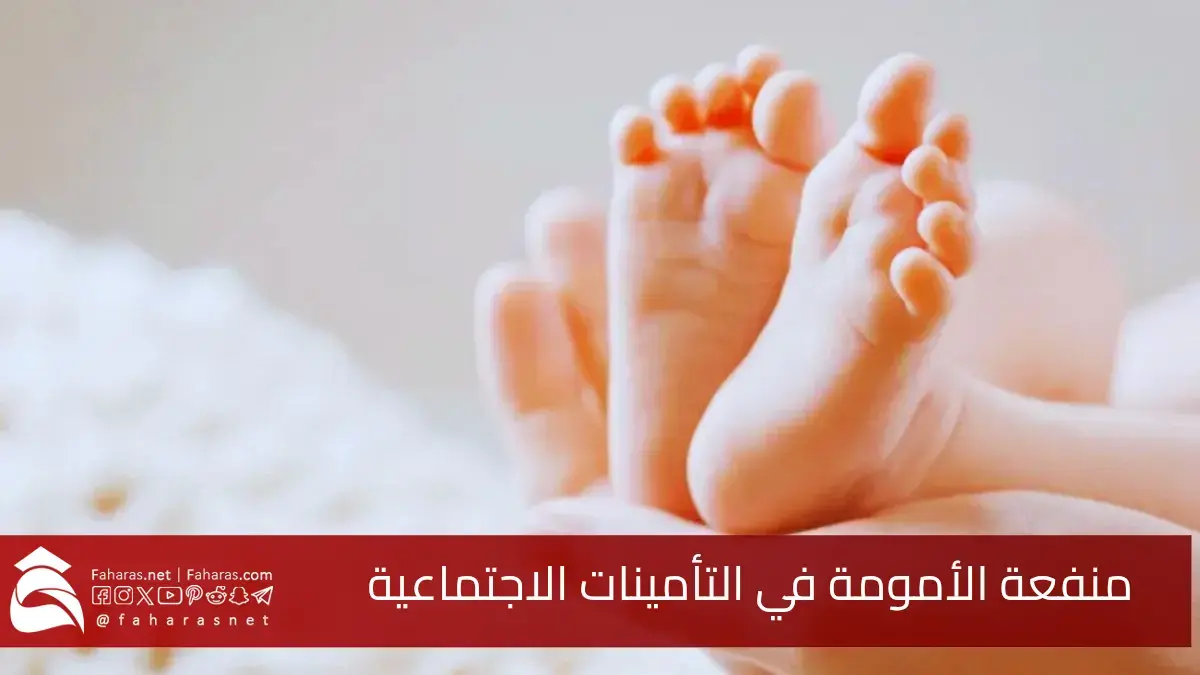 رسميًا.. تنفيذ منفعة الأمومة في التأمينات الاجتماعية كجزء من التعديلات الحديثة 1 يوليو 2025 5 رسميًا.. تنفيذ منفعة الأمومة في التأمينات الاجتماعية كجزء من التعديلات الحديثة 1 يوليو 2025