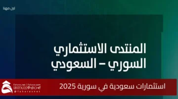Saudi investments Syria