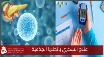 Stem cell diabetes treatment