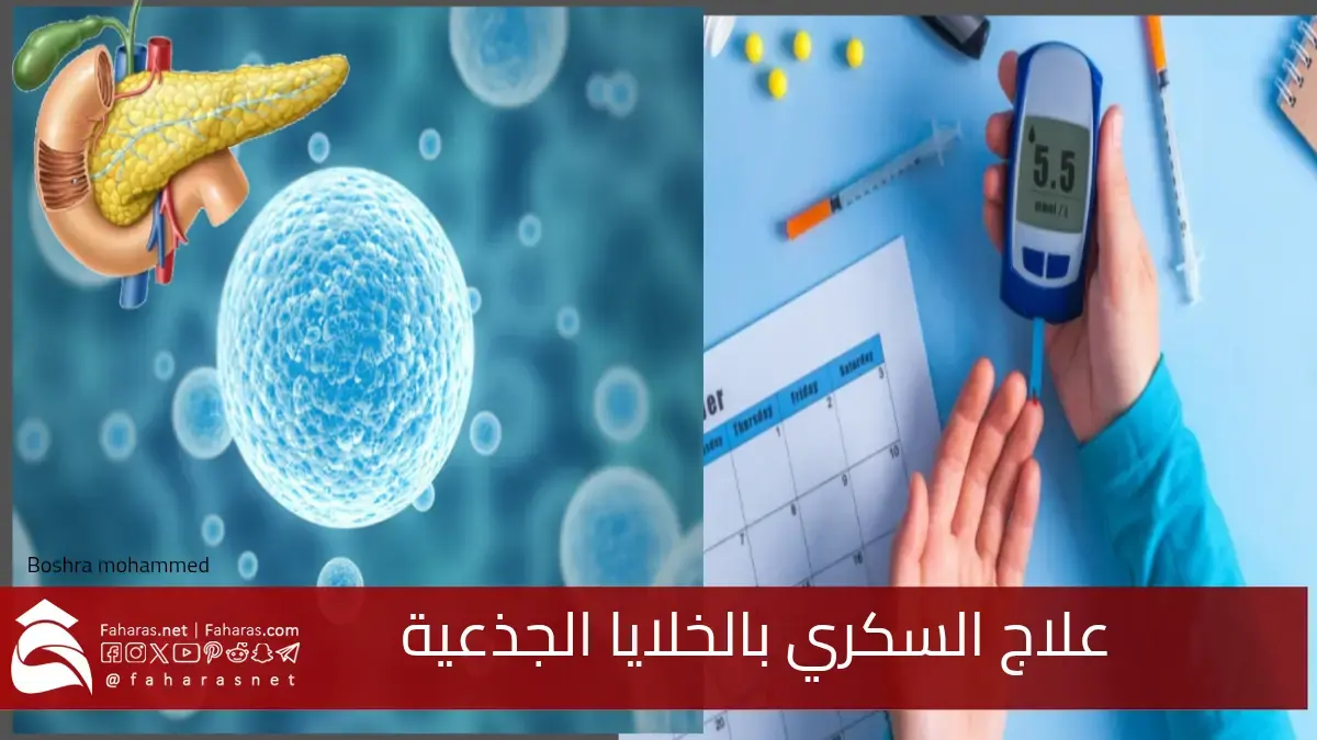 علاج السكري بالخلايا الجذعية.. ثورة طبية وأمل جديد لإنهاء معاناة مرضى السكر 5 علاج السكري بالخلايا الجذعية.. ثورة طبية وأمل جديد لإنهاء معاناة مرضى السكر