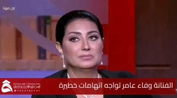 Wafaa amer egyptain actor