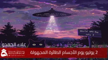 World UFO Day