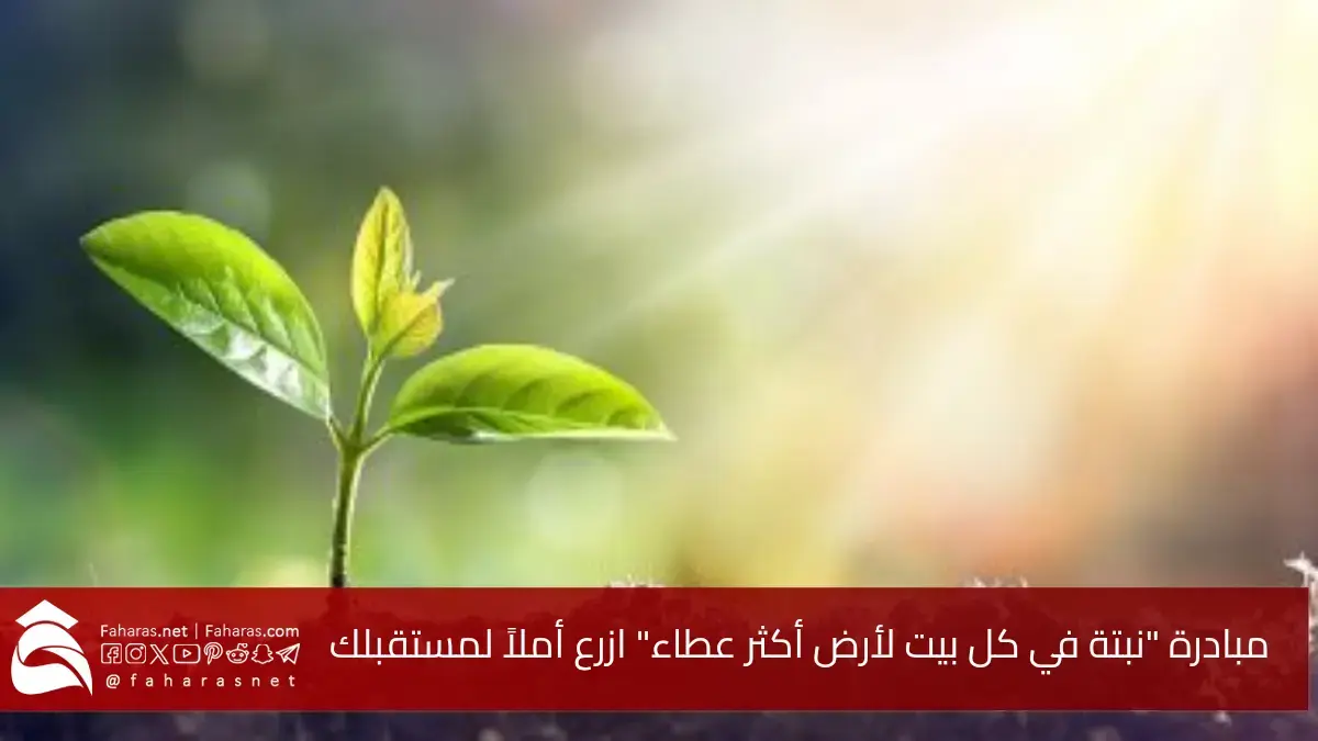 مبادرة نبتة في كل بيت لأرض أكثر عطاء بالسعودية.. ازرع أملاً لمستقبل أخضر يبدأ من بيتك 5 مبادرة نبتة في كل بيت لأرض أكثر عطاء بالسعودية.. ازرع أملاً لمستقبل أخضر يبدأ من بيتك